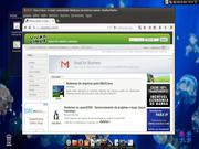 Gnome Ubuntu 14.04 LTS água com cairo-dock, Screenlets e Compiz